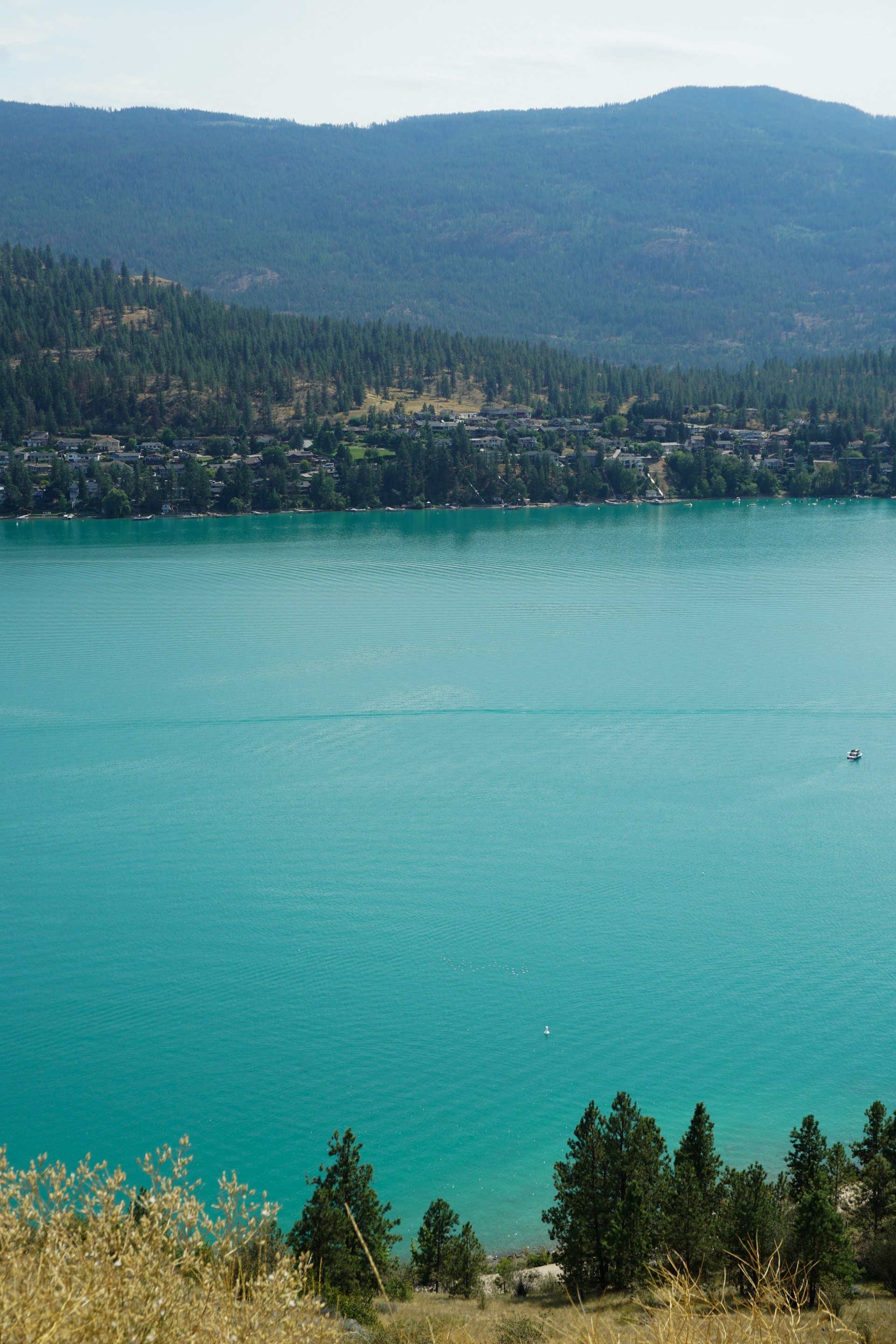 Aerial view of Lake Country